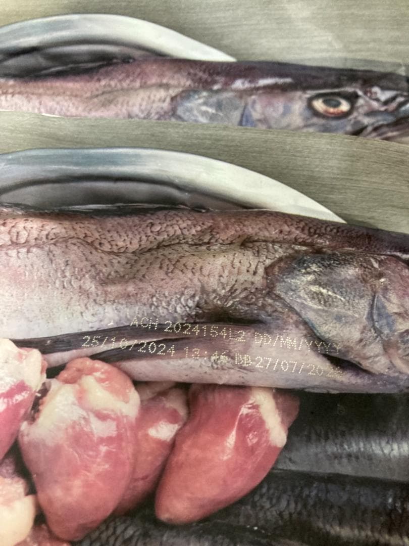 正規品 カナダ産 Orijin オリジン パピー 6kg ドッグフード まとめ可