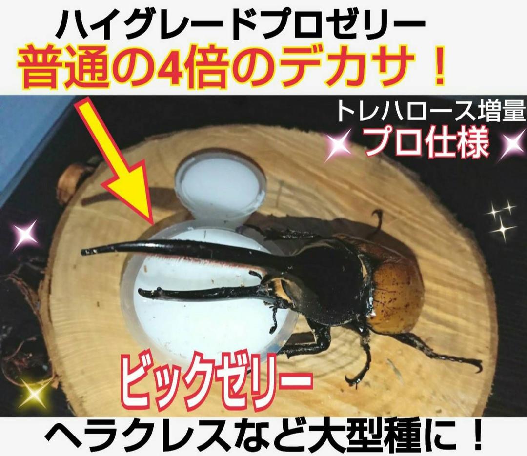 ビッグサイズ！ハイグレードプロゼリー☆200個　普通の4倍以上のデカサ！プロ仕様