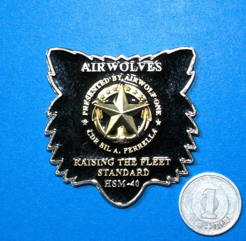 元HSL-51司令、米海軍MH-60ヘリ訓練航空隊HSM-40司令の指揮官