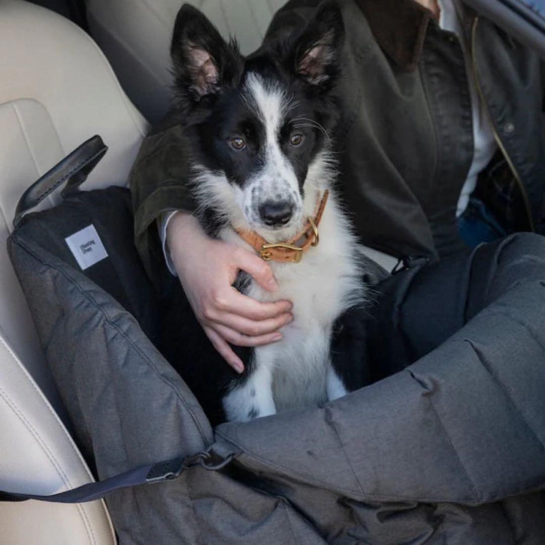 【希少】Hunting Pony /ペットドライブベッド