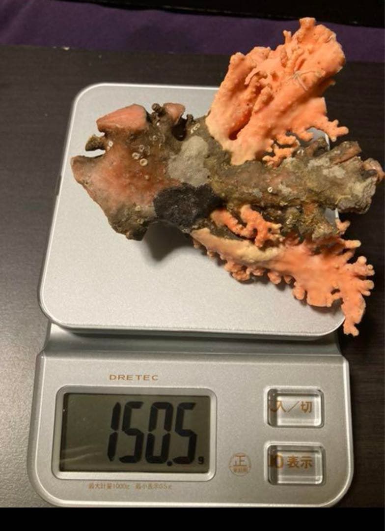 (送料込み)ピンク　珊瑚