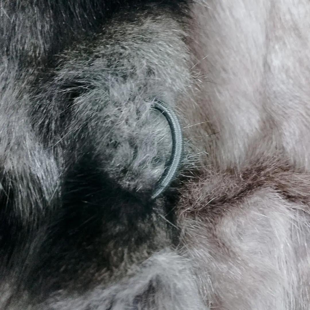 【激レア】【シルク100%】ロリス毛皮 ロングコート マキシ丈 L リアルファー