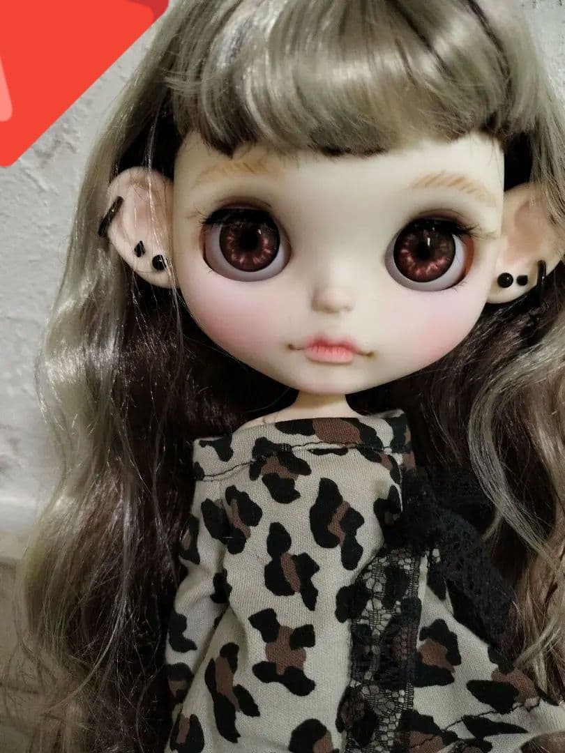 専用☆★アウトフィット付き★アイシードール★ネオサイズ22cmドール