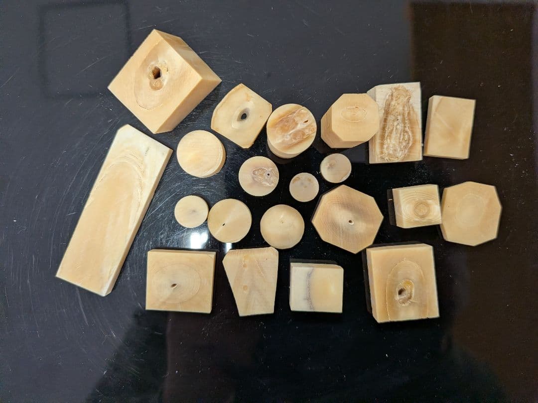 マッコウ鯨歯　本物　色々な形