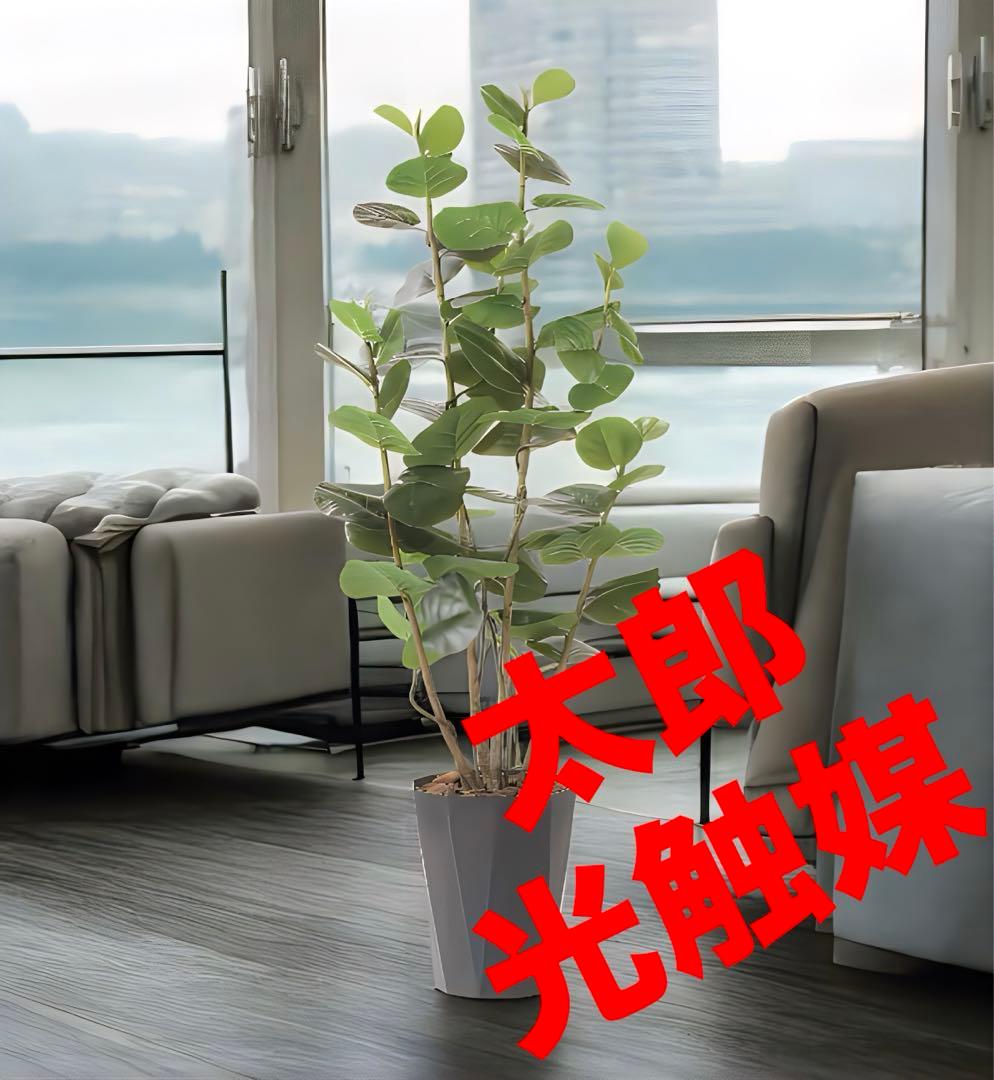 光触媒　人工観葉植物　フェイクグリーン　シーグレープDX 1.7m