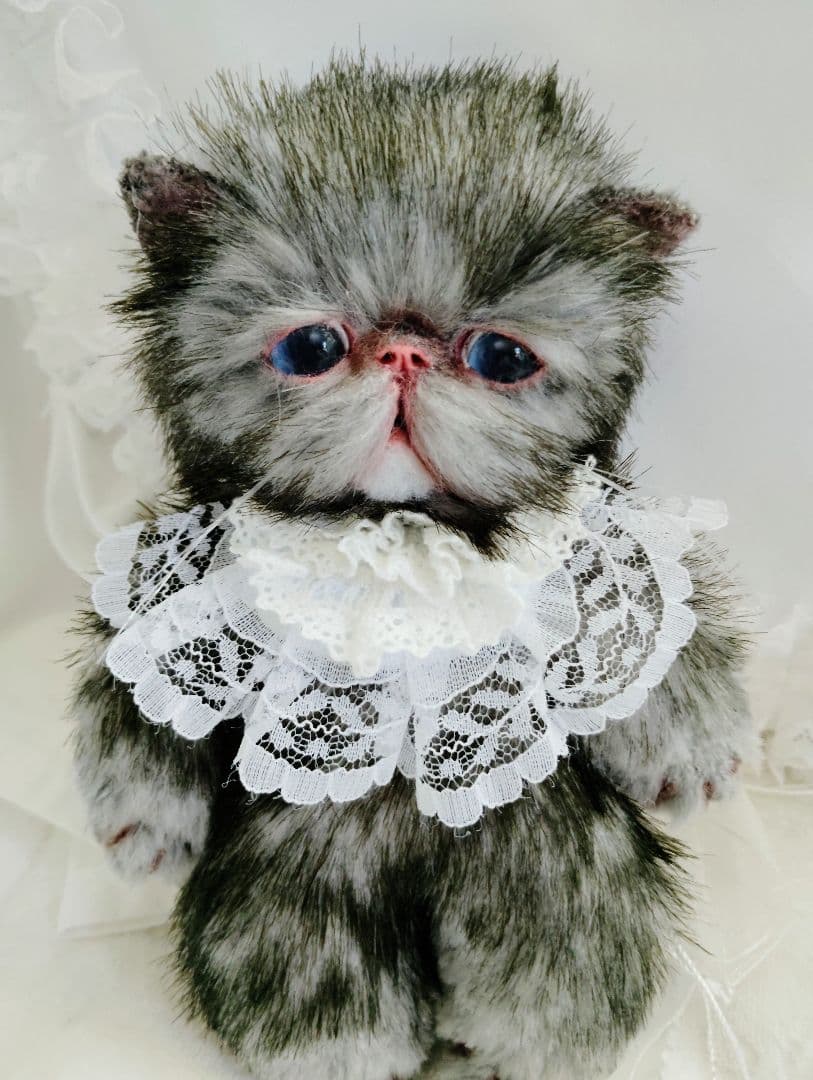 ラスト❤️ポッケにゃん♡エキゾチック子猫ちゃん♡アートドール♡ぬいぐるみ♡