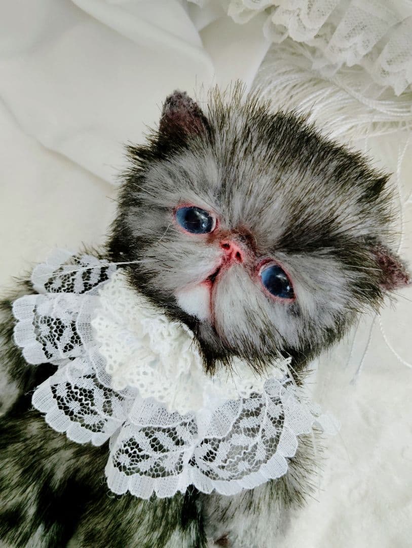 ラスト❤️ポッケにゃん♡エキゾチック子猫ちゃん♡アートドール♡ぬいぐるみ♡