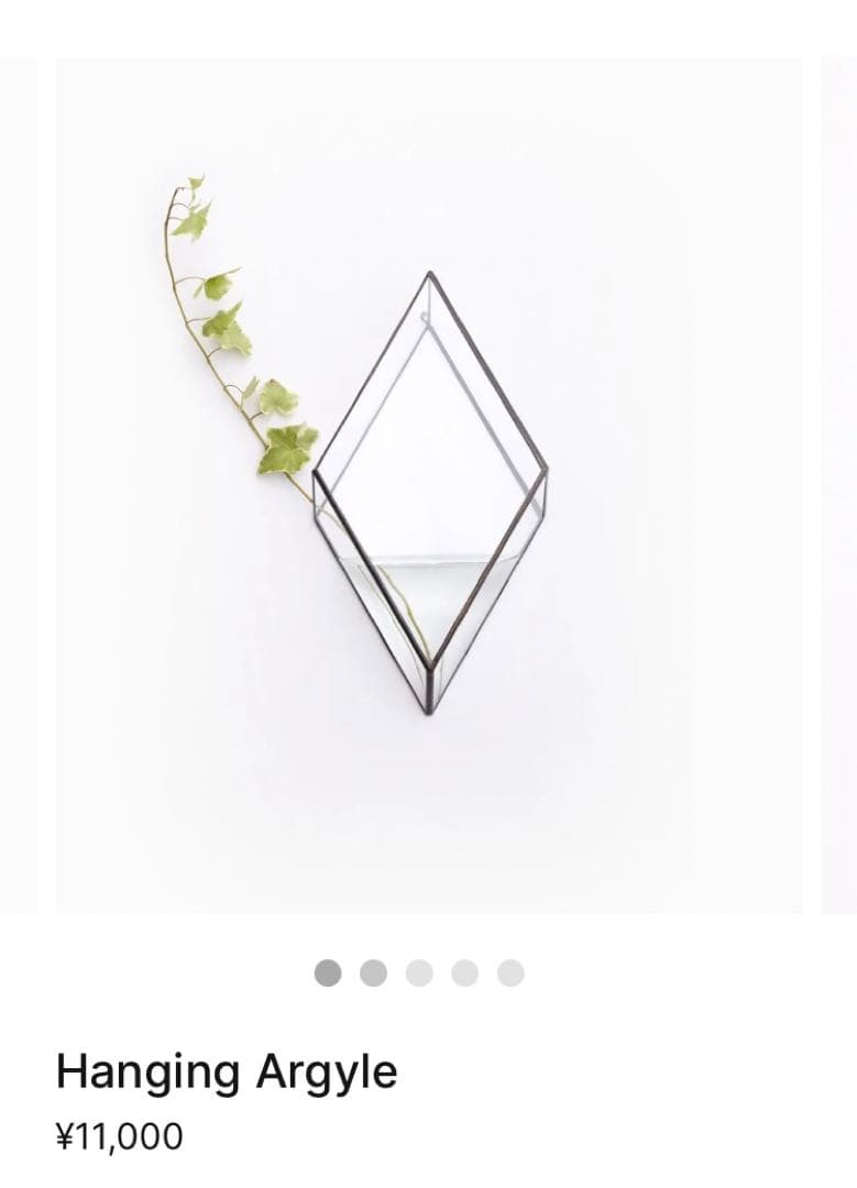 1012terra Hanging Argyle 壁掛け フラワーベース