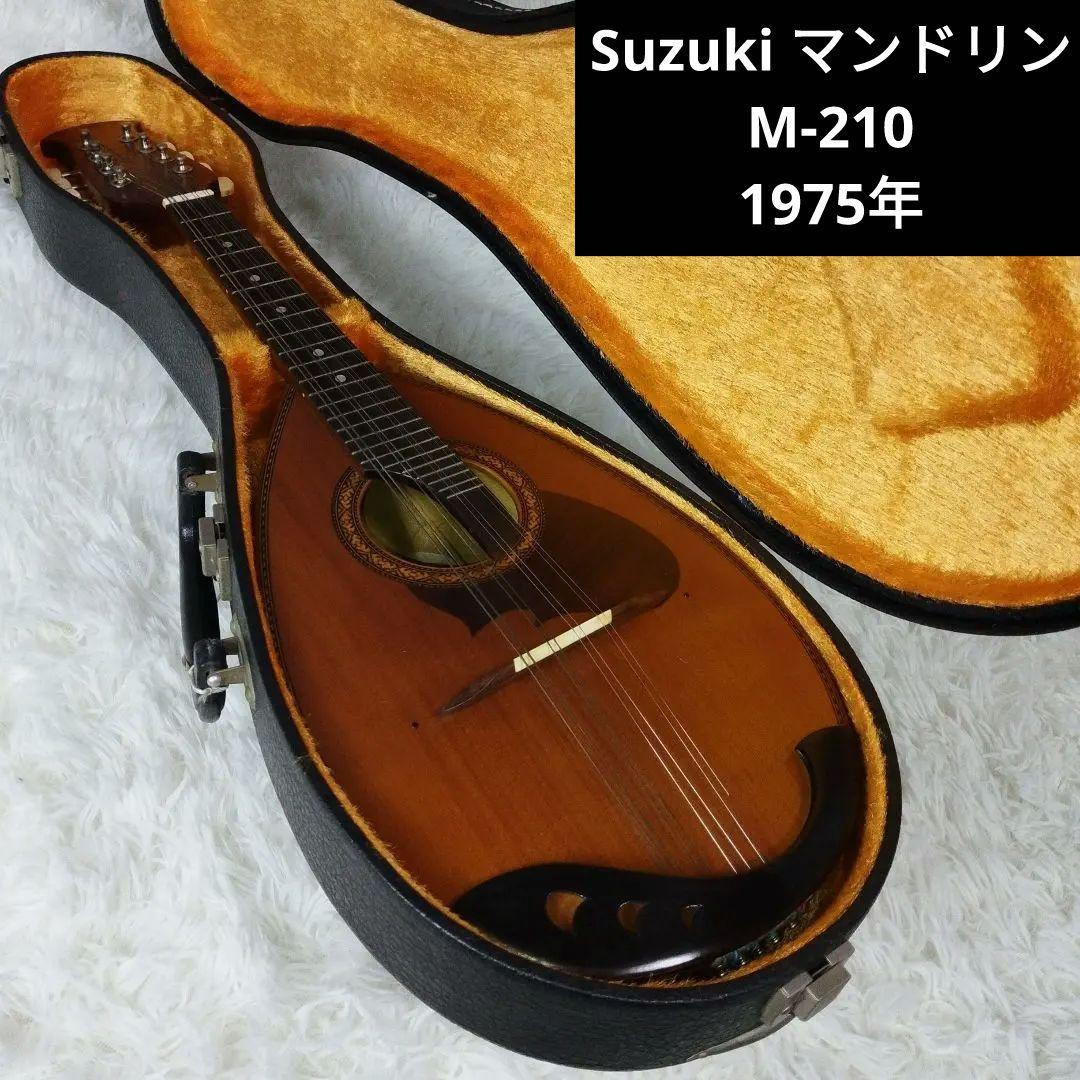 極美品●Suzuki マンドリン● M-210 1975年 ジャパンビンテージ