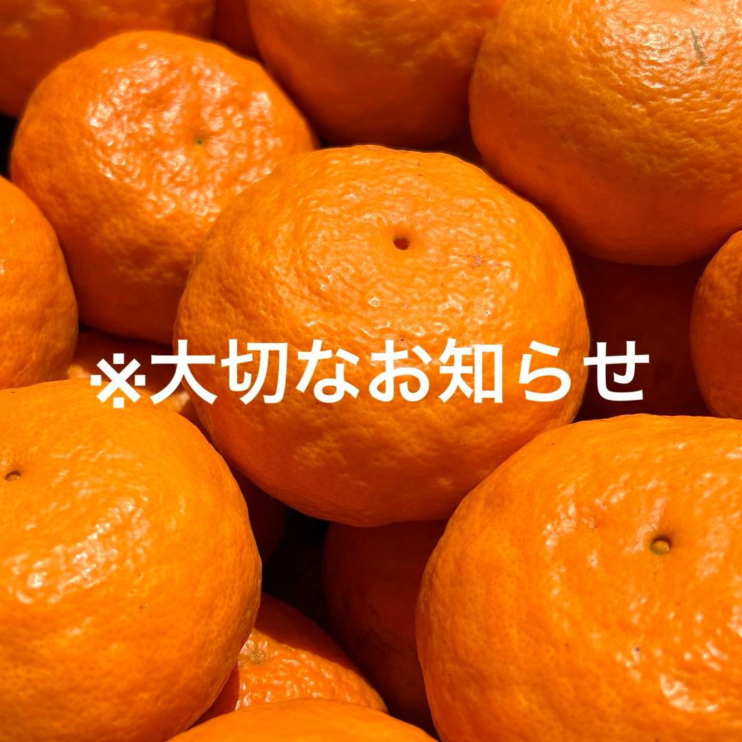 【お知らせ】販売場所移行のお知らせ