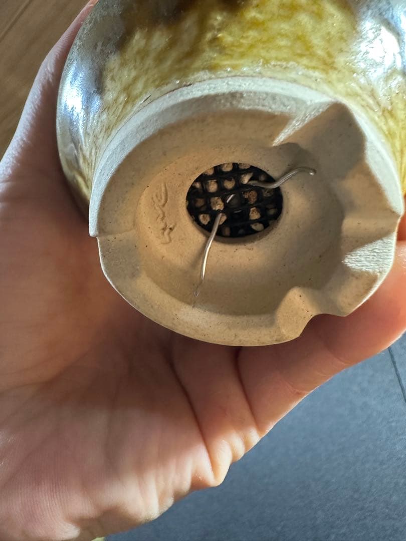 一点物⭐︎【美個体ボール　フォークイエリア・ファシクラータ　国内実生　＋作家鉢】