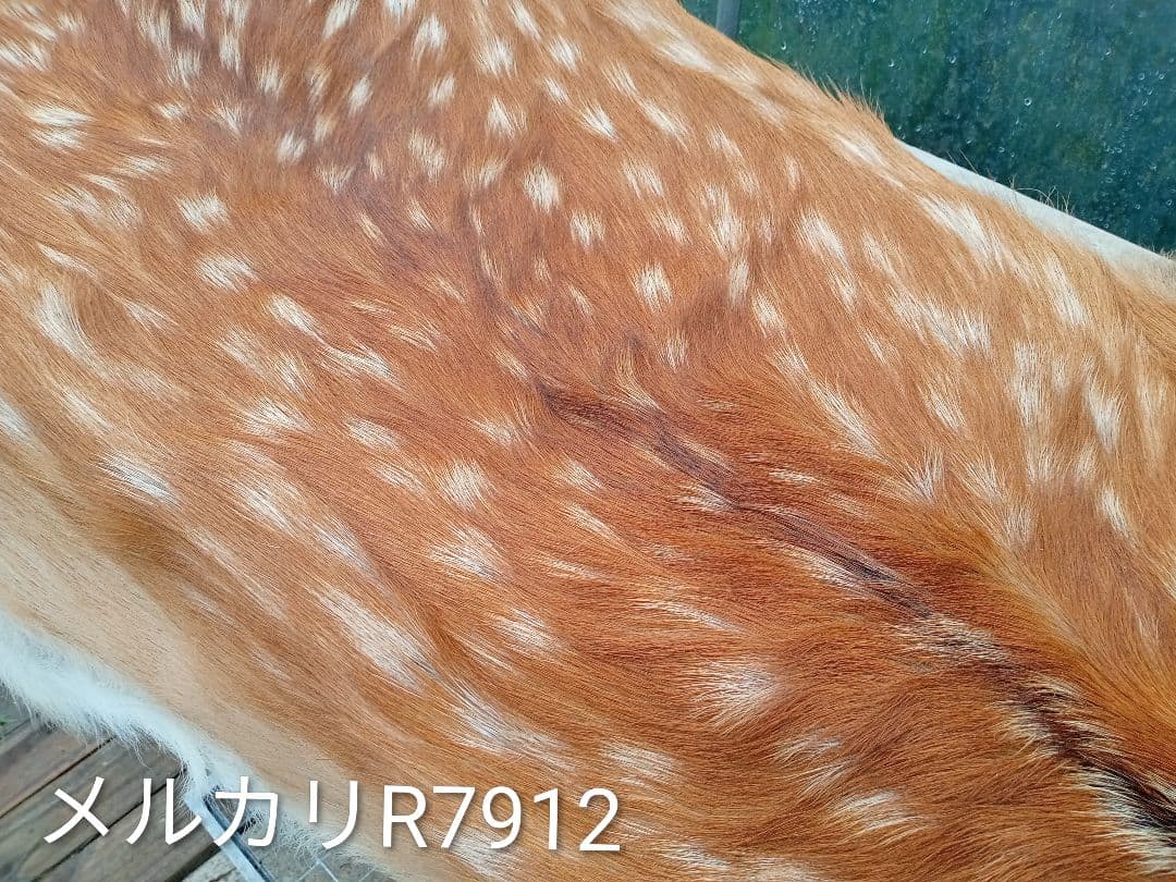 天然日本鹿　夏毛　袖付きラグ