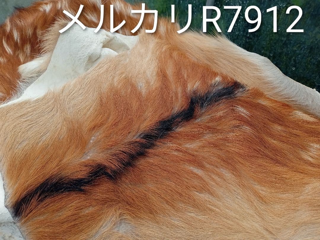 天然日本鹿　夏毛　袖付きラグ