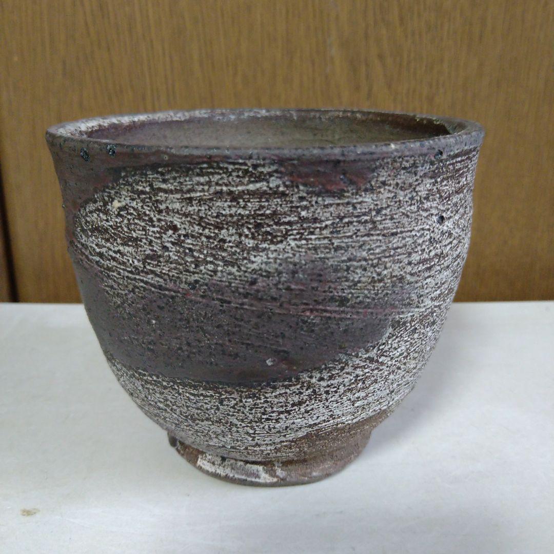 ●芽の巣山購入 安西桂 鉢3100