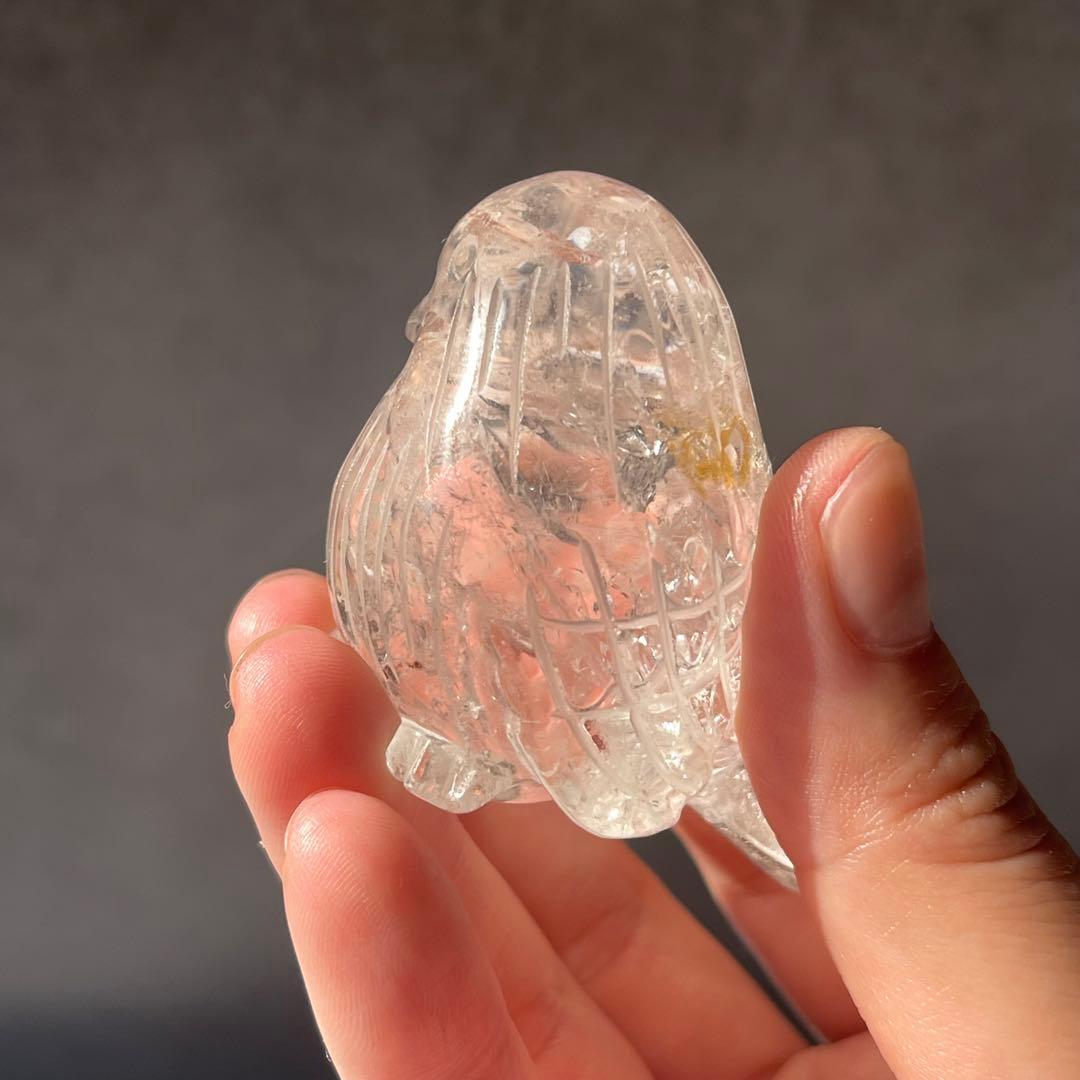 再再販 小鳥シリーズ ライモナイト イン クリアクォーツ