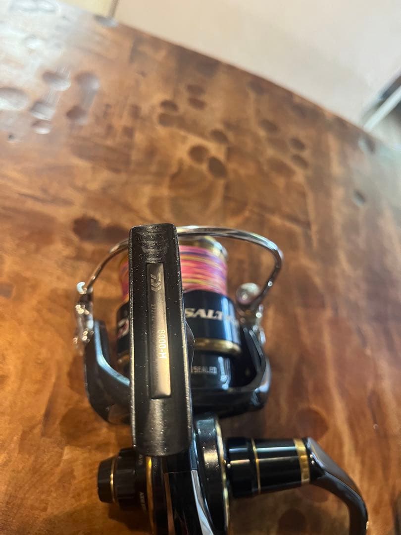 DAIWA SALTIGA ダイワ20ソルティガ8000 H