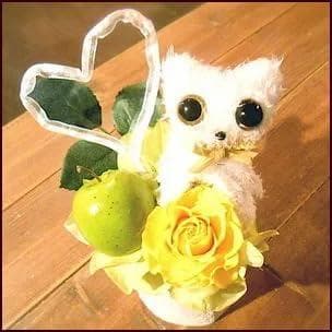 プリザーブドフラワーイエロー シロネコの春色アレンジメント