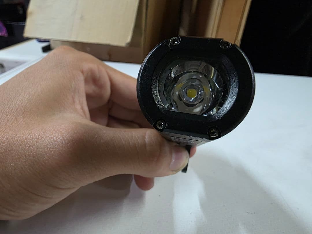 GARMIN Varia UT800スマートライト