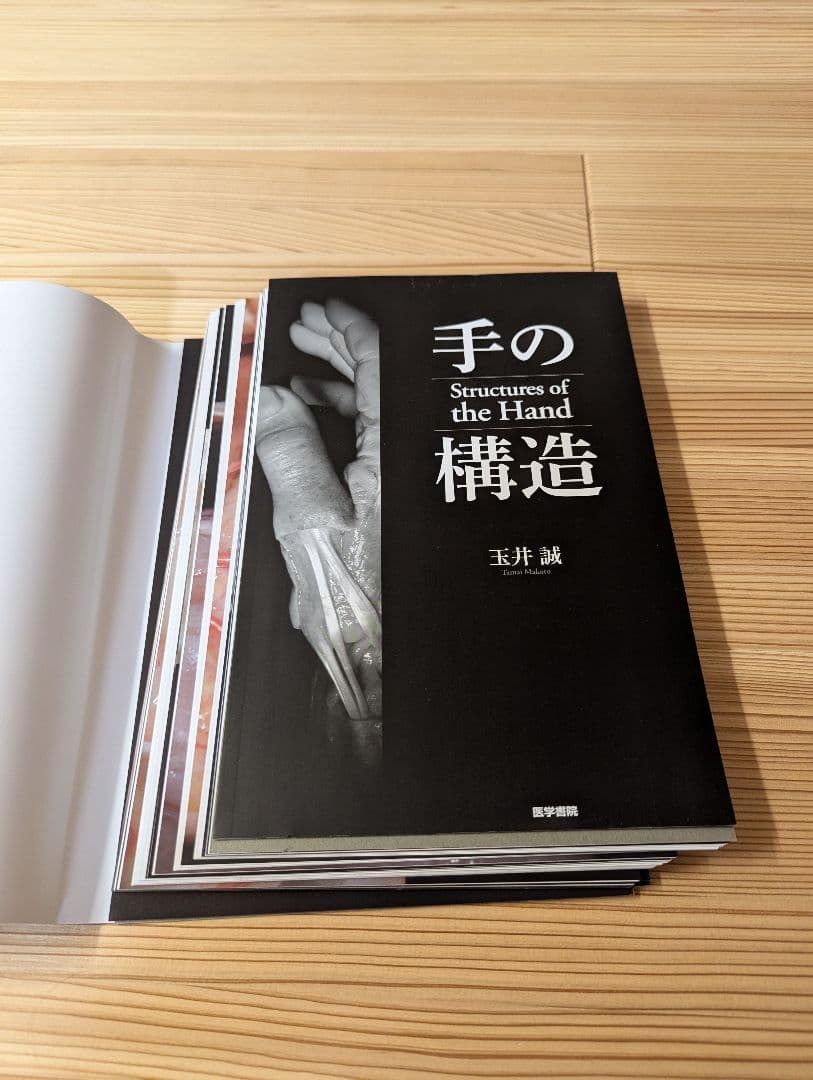（裁断済み） 手の構造 Structures of the Hand
