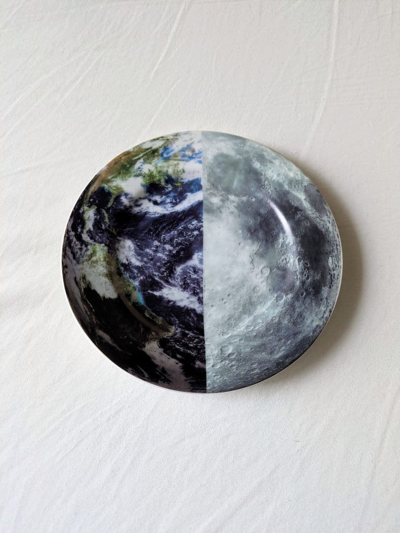 新品未使用 完全非売品 ANREALAGE×case study コラボ 平皿