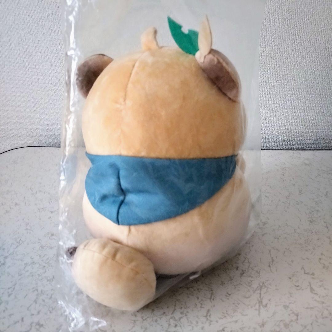 ホロライブ ホロックス 風真いろは 活動1周年 ぽこべぇ ぽこべえ ぬいぐるみ