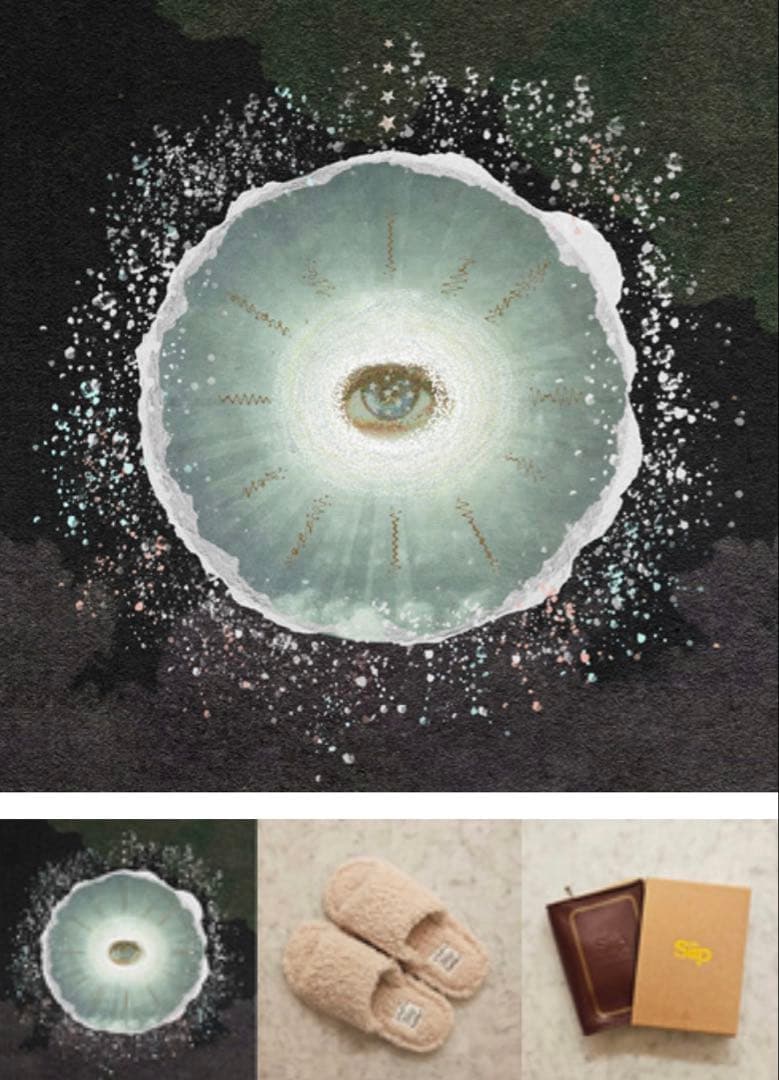 siip ガイア 完全生産限定盤 新品未開封