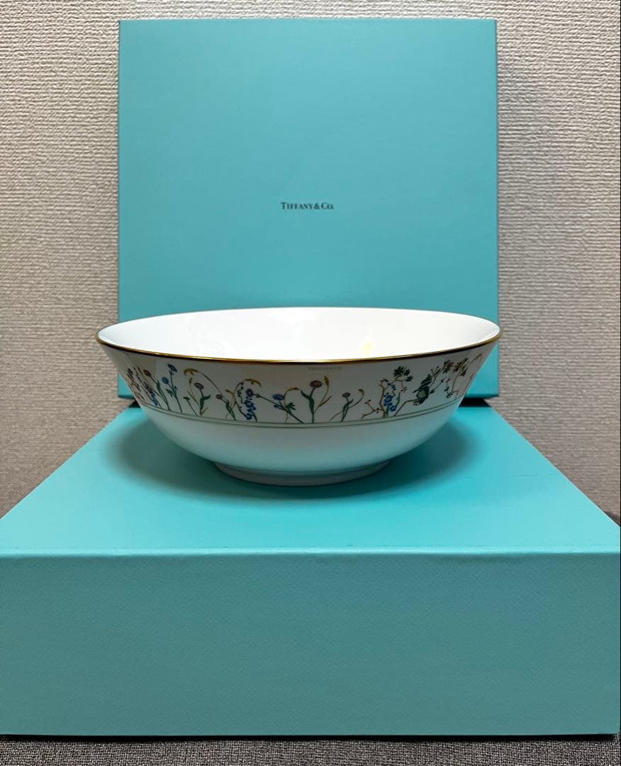 【Tiffany＆Co.】未使用 ディナーボウル