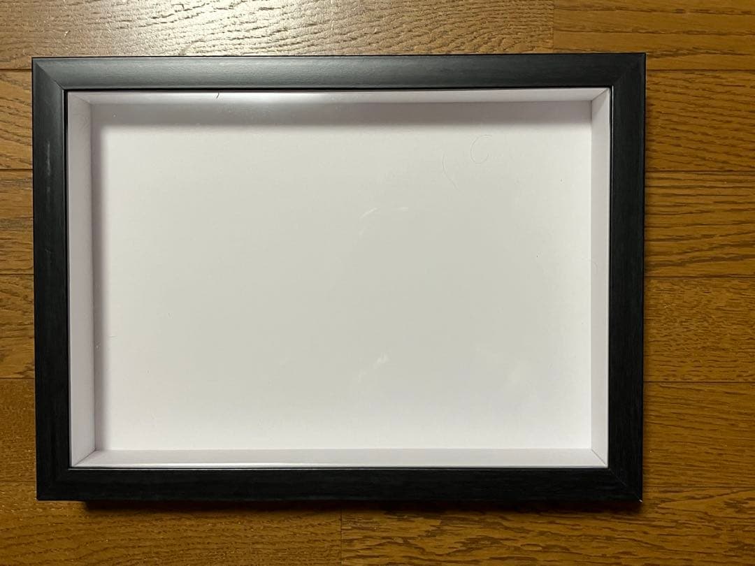 Ooo　標本箱A4サイズ黒枠5点