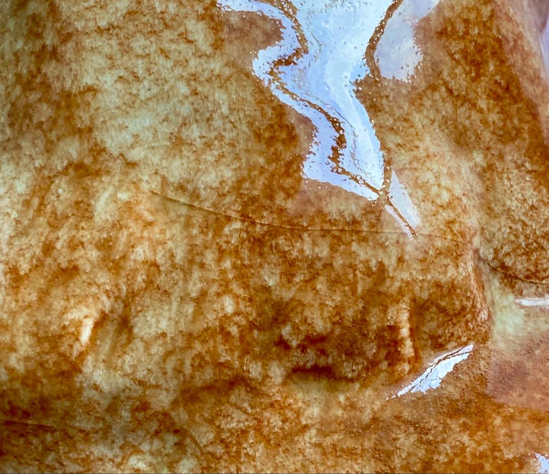 モデルNo.53　ウィンスタンレイキャット サックス5thアベニュー　長毛猫