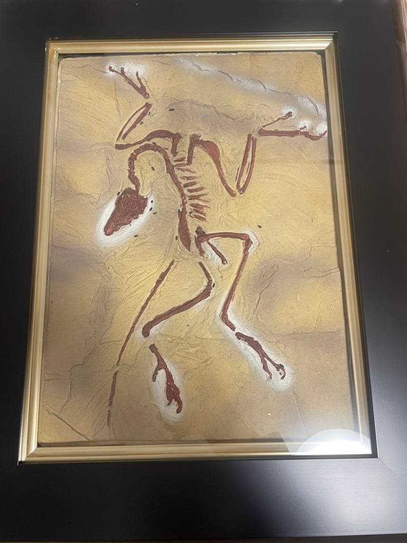 始祖鳥（アーケオプテリクス）の石膏製骨格標本レプリカ フレーム付き