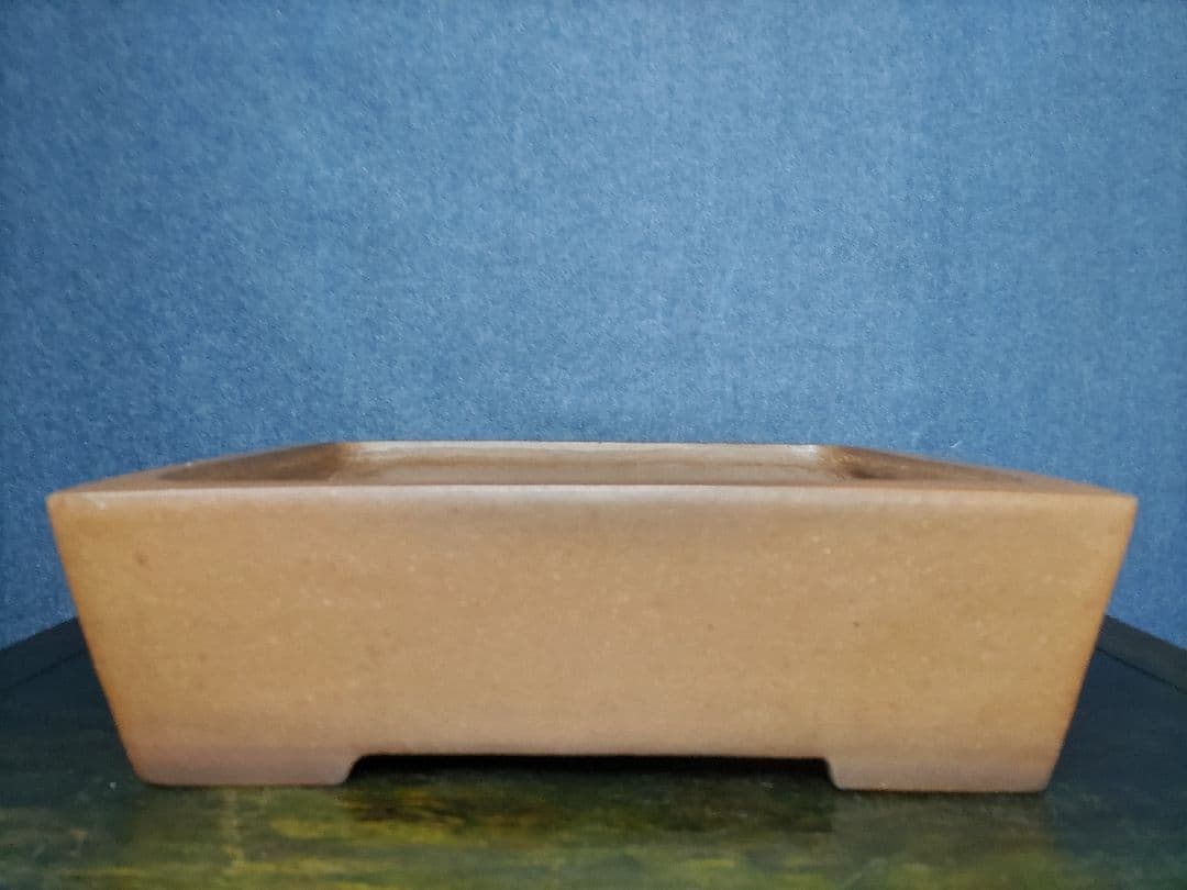 盆栽鉢　　中野行山手造り　　早い者勝ち