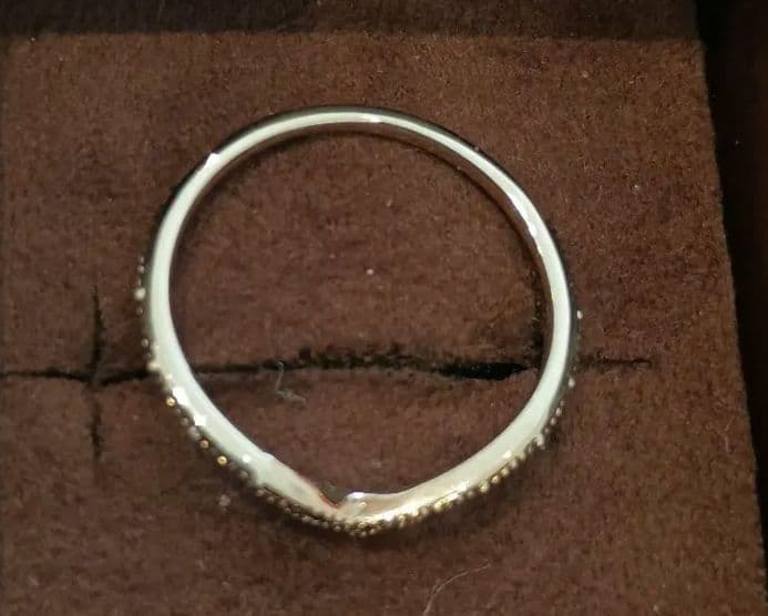 アガット　k10　 2022　限定　 リング