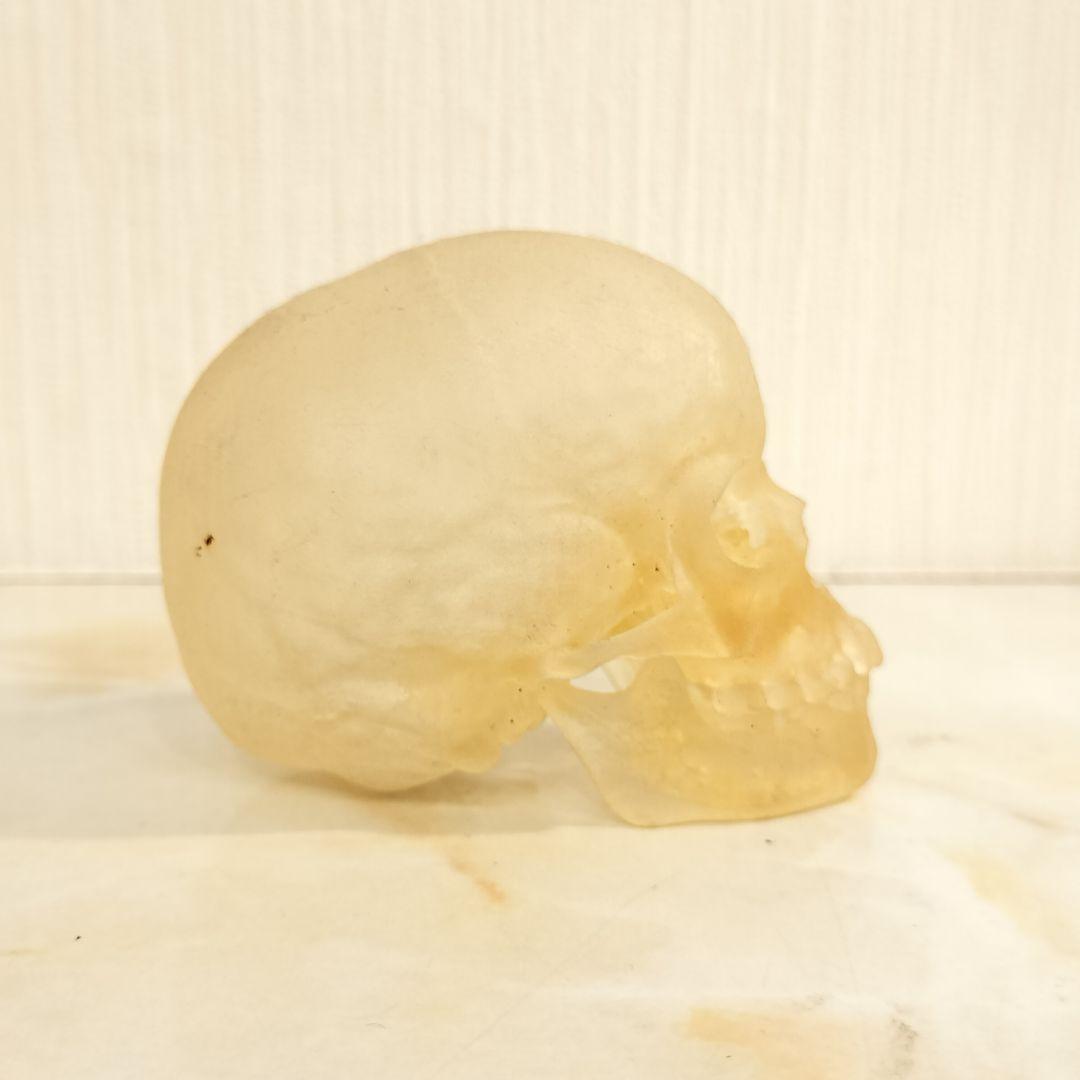 骸骨 置物 オブジェ