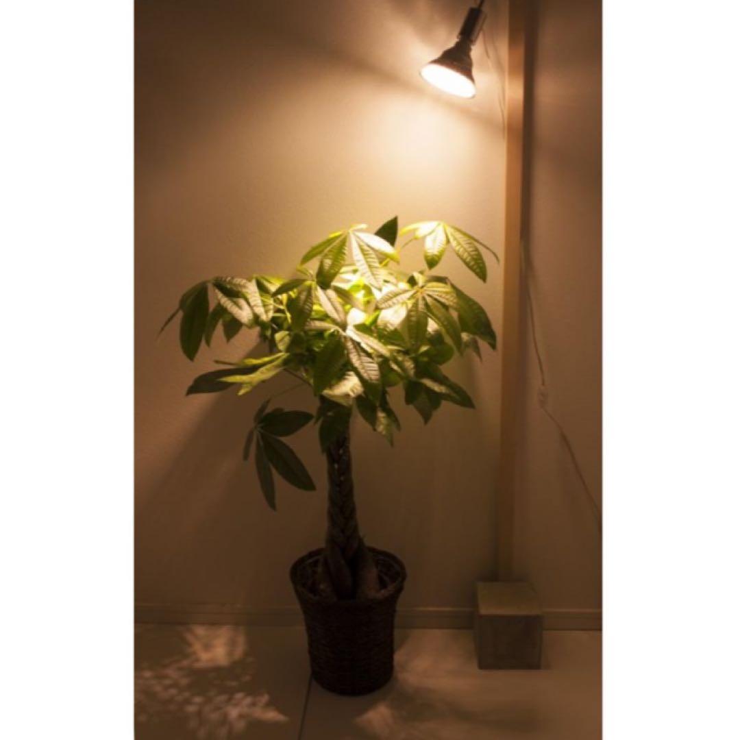 BARREL植物LEDライトクリップSUN-18W×E26 PLANT×4セット