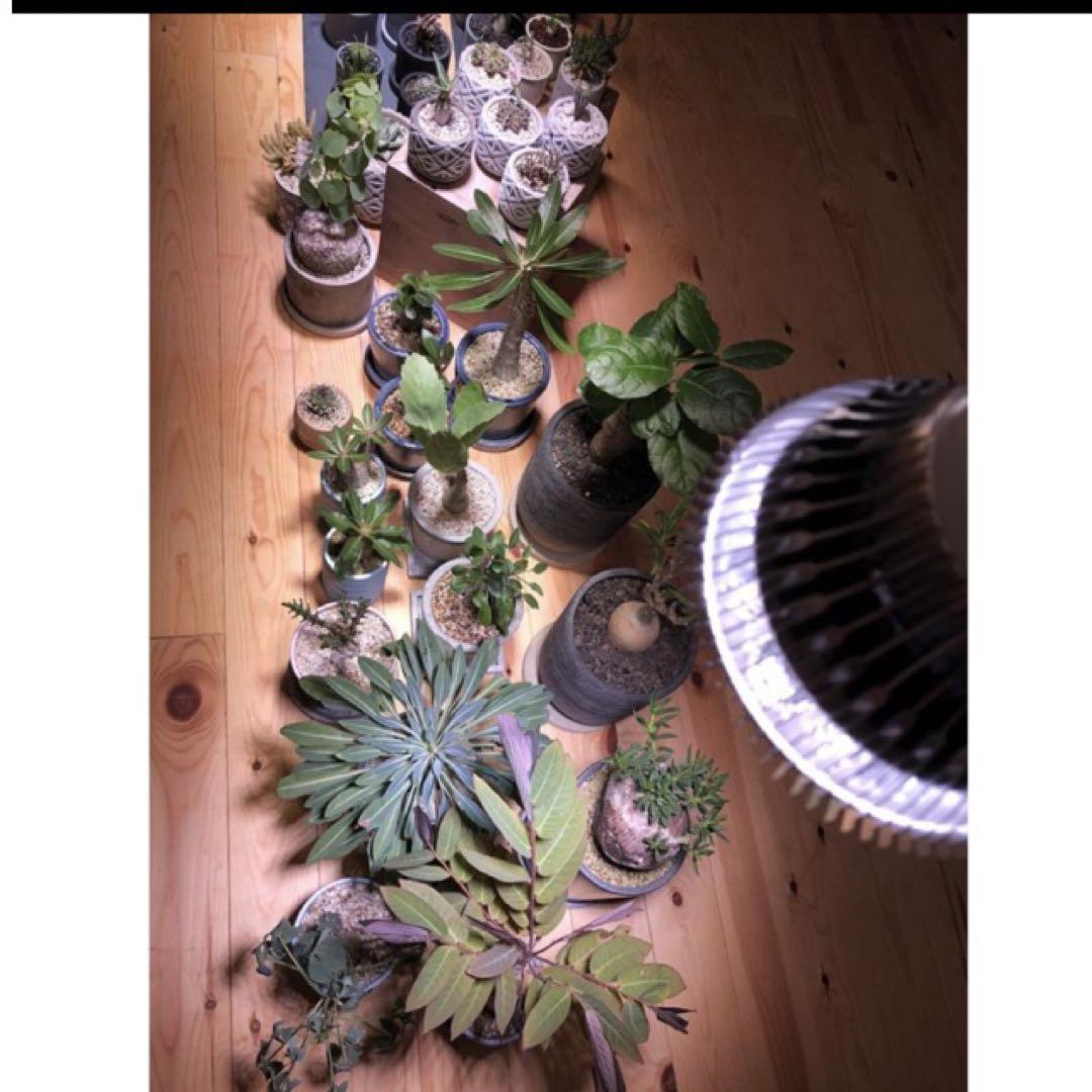 BARREL植物LEDライトクリップSUN-18W×E26 PLANT×4セット