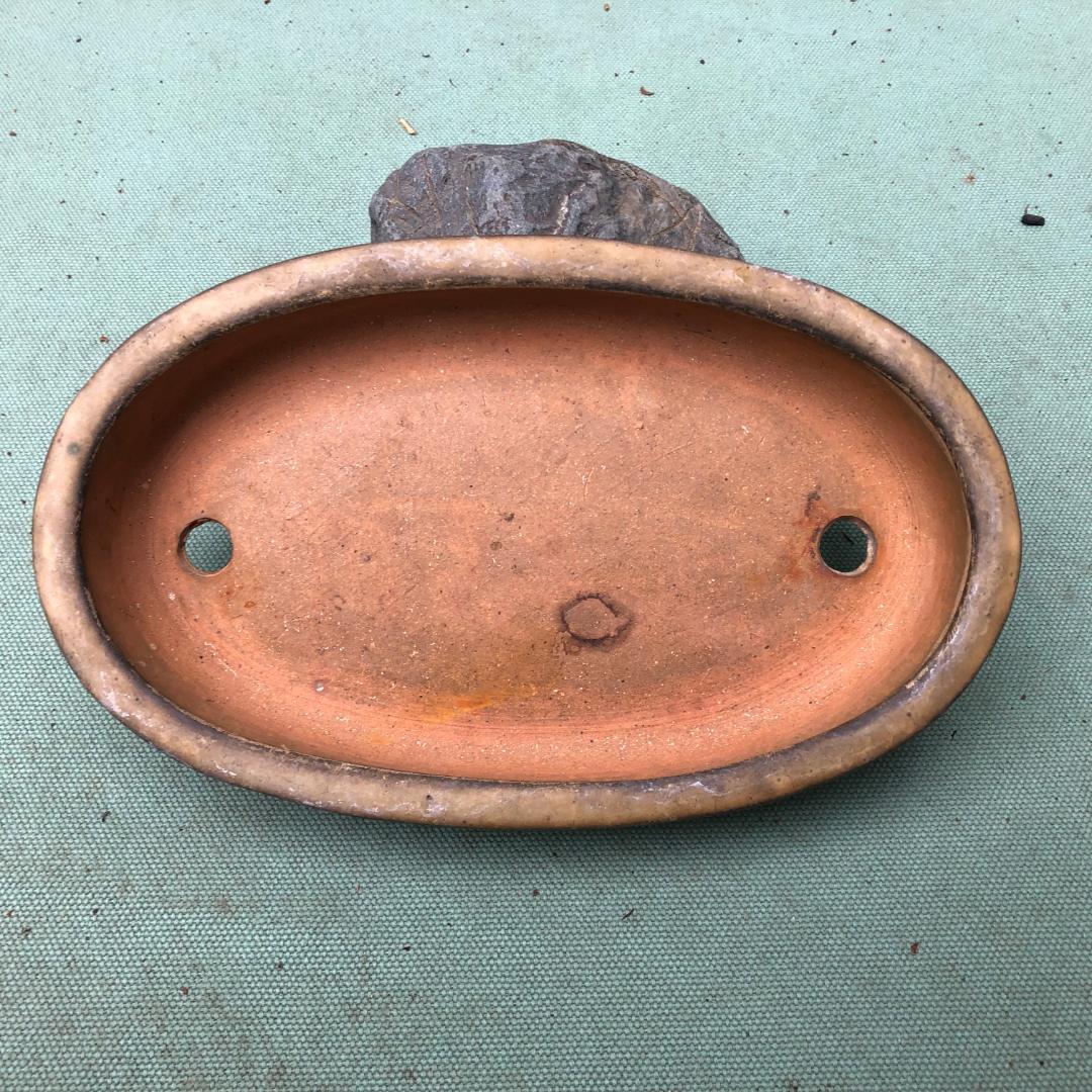 銘鉢　白磁　１００年伝統