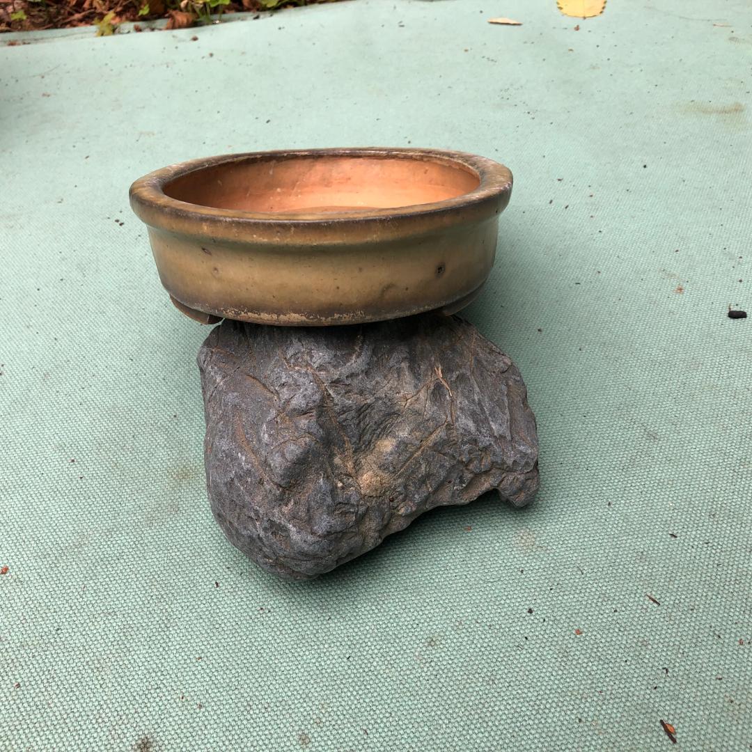 銘鉢　白磁　１００年伝統