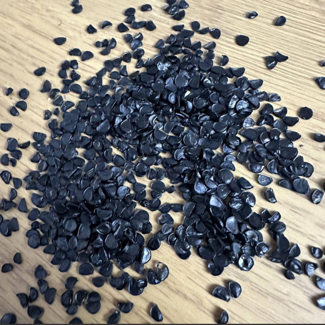 4月入荷 オテロイ 種子 4000粒 チタノタ アガベ