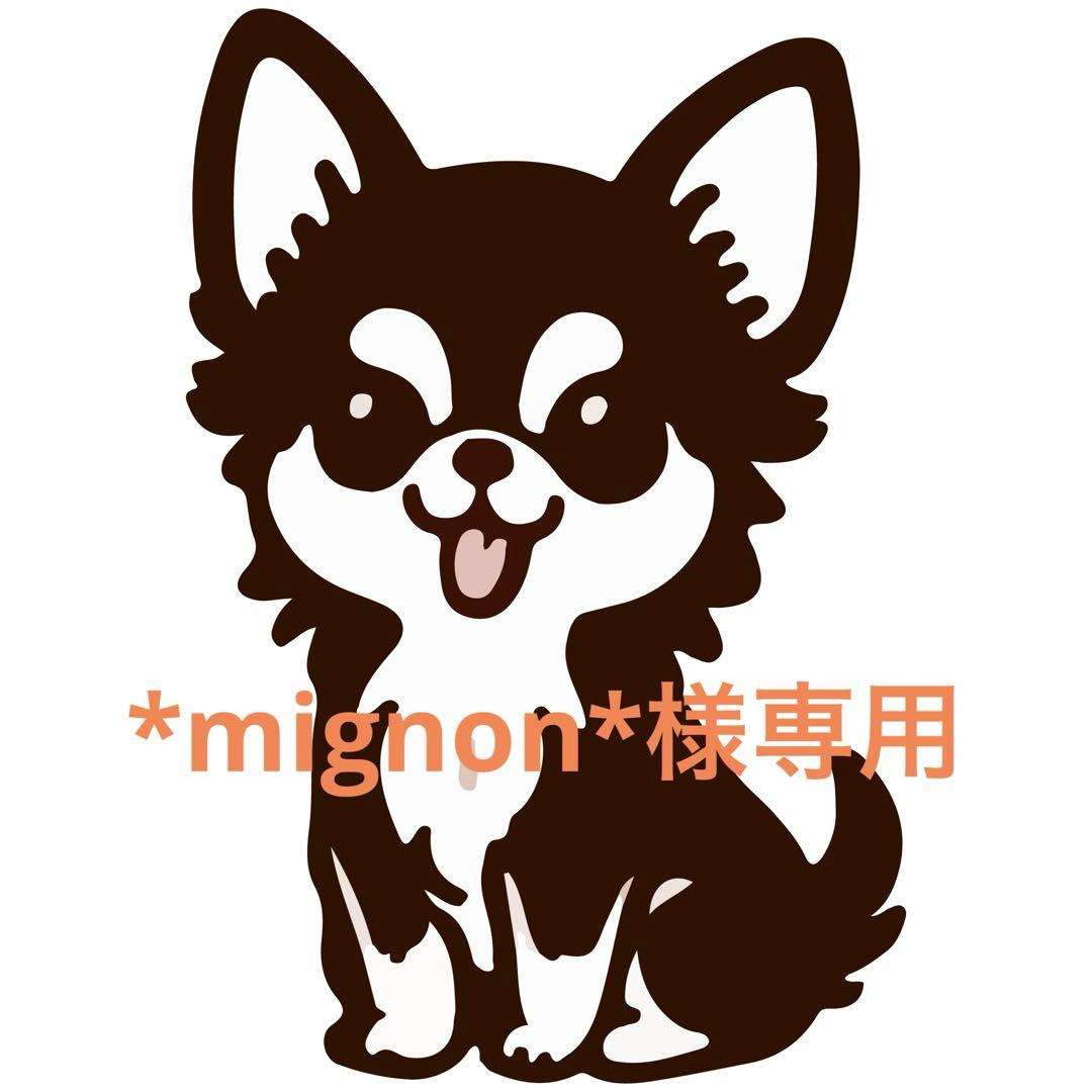 犬服・アクセサリー *mignon*