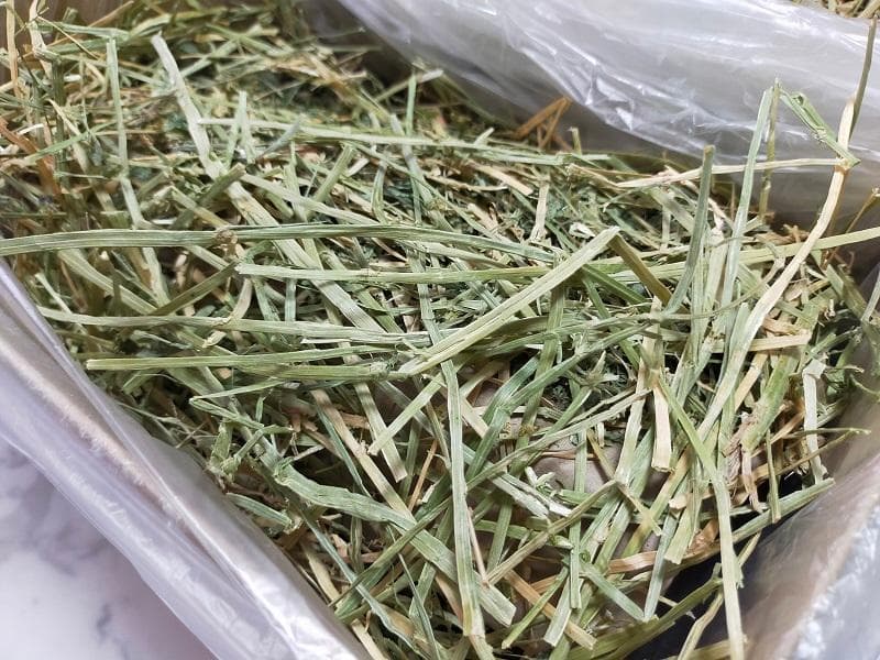 【11/30まで】 カナダ産 チモシー 50kg スーパープレミアム １番刈り