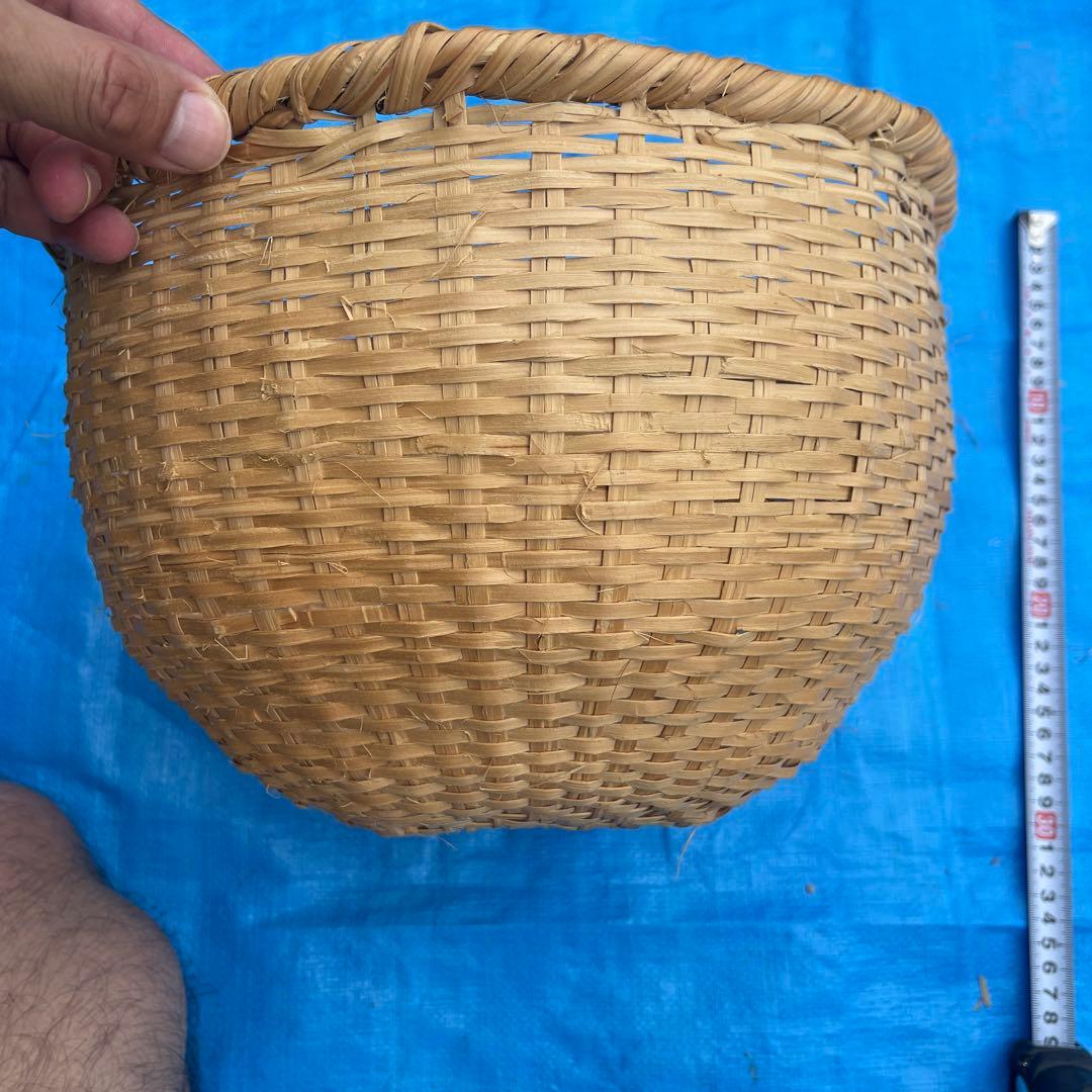 マタタビの籠 15番