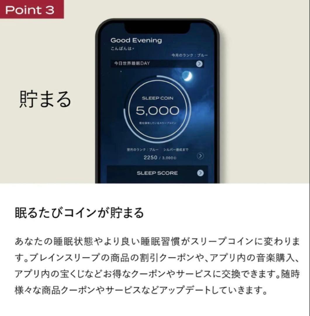 ブレインスリープ ピロー スノーレス BRAIN SLEEP 付き