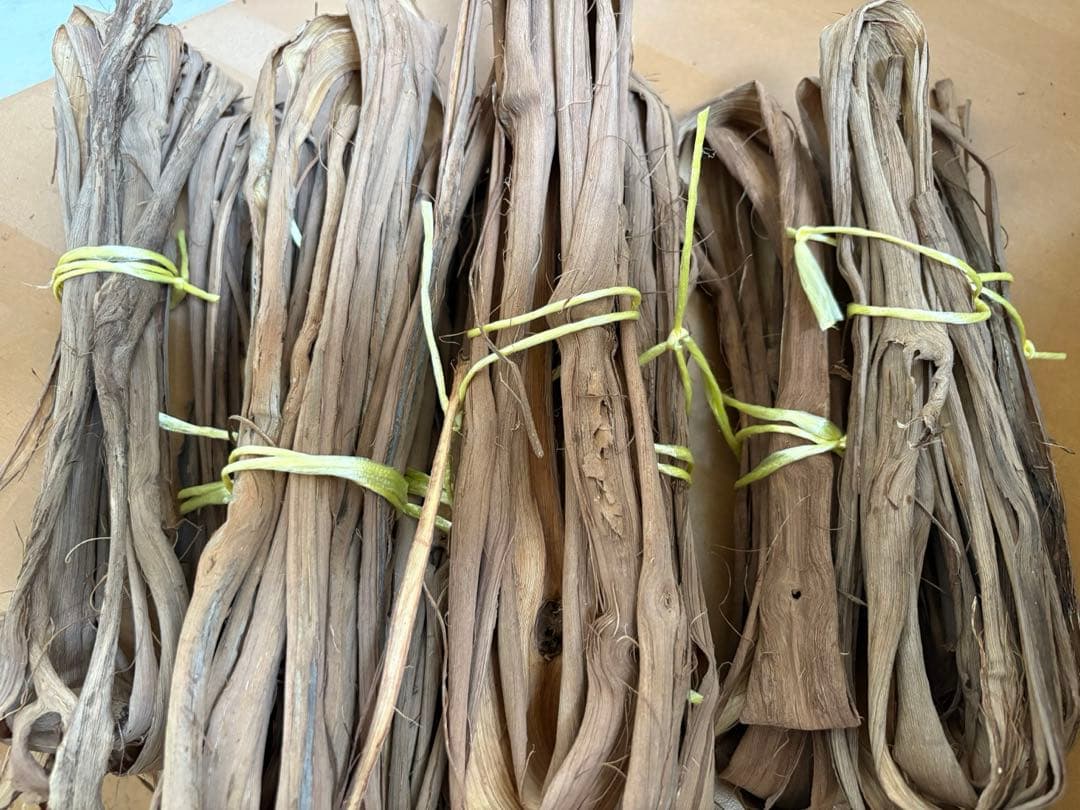 岩手県産山葡萄　お買得品①