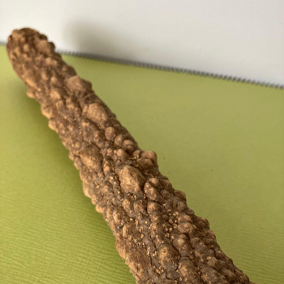 極上品超極太5.0cm 天然本山椒すりこぎ棒　プロ仕様国産山椒の木★長さ50cm