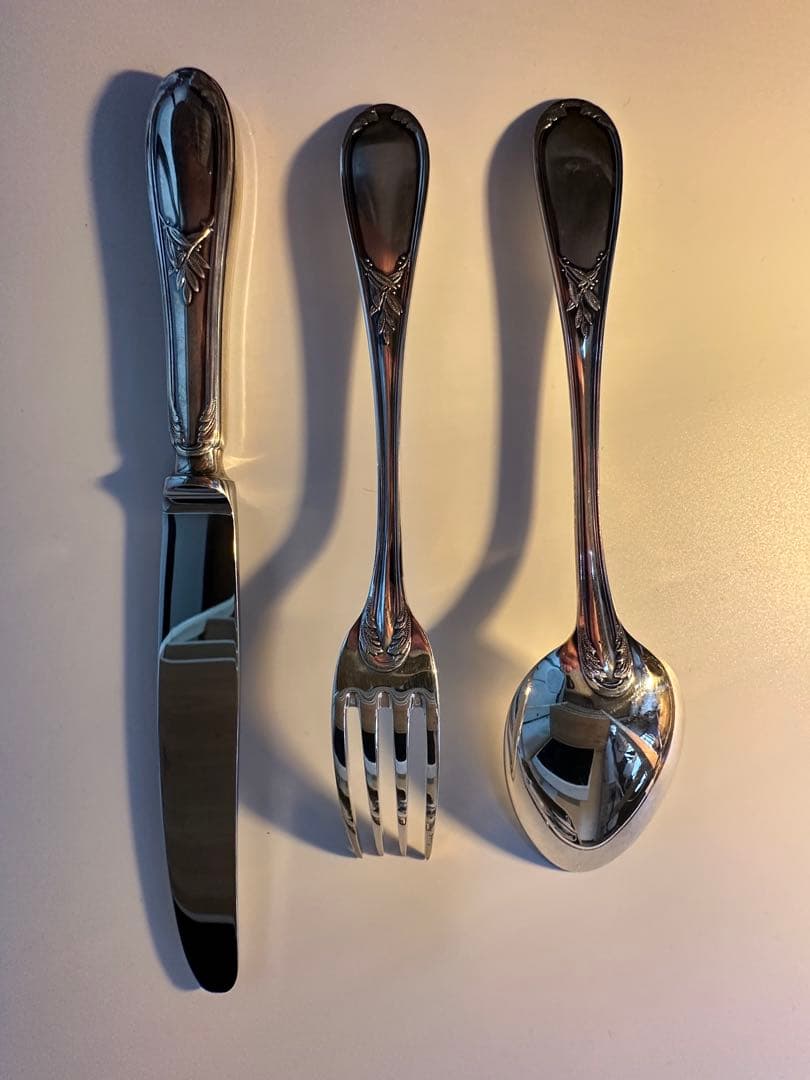 Ercuis ステンレススチール カトラリーセット