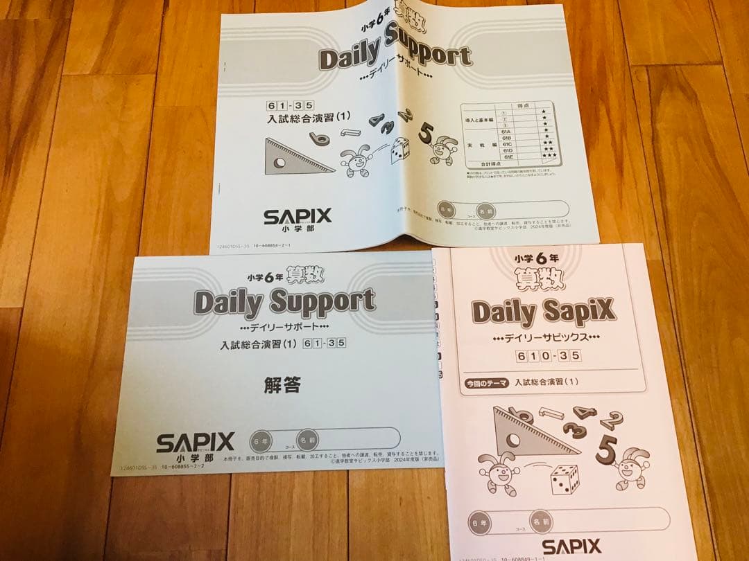 2024年度　6年　デイリーサポート　デイリーサピックス　算数　年間セット