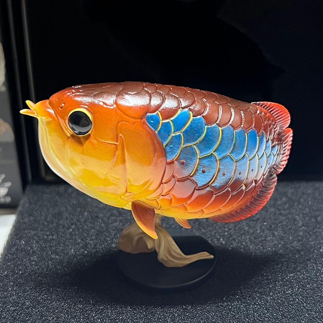 動物の惑星　レア　アジアアロワナ