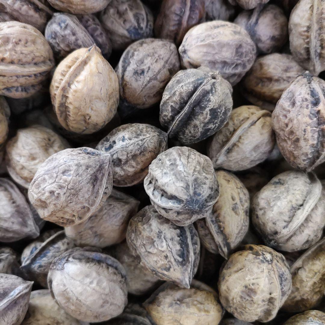 信州産乾燥胡桃９キロ＊（箱）込