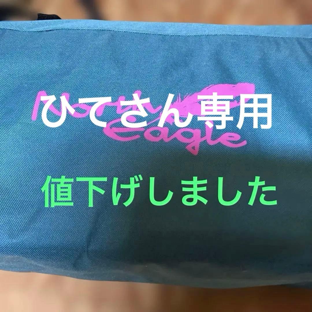 North Eagle スクリーンキャノピー 250