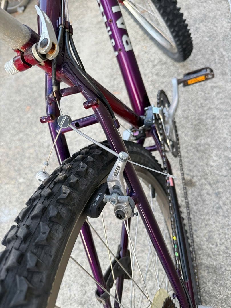 自転車本体 Raleigh USA